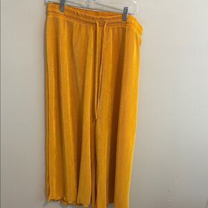 The zig zag stripe size 2xl Vibrant Yellow Pleated Pants